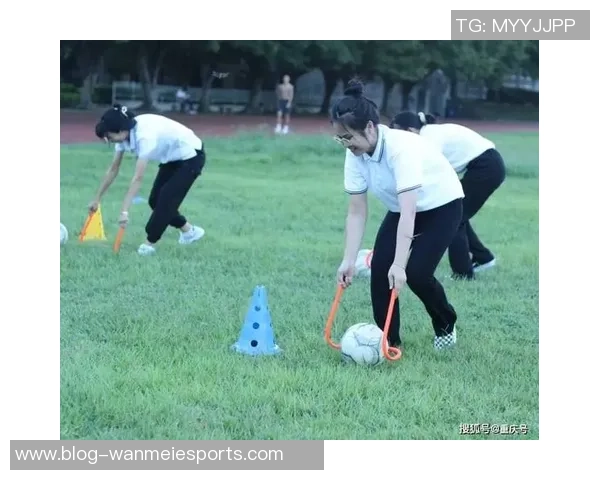 英黄足球：探索这项运动背后的文化魅力与发展历程